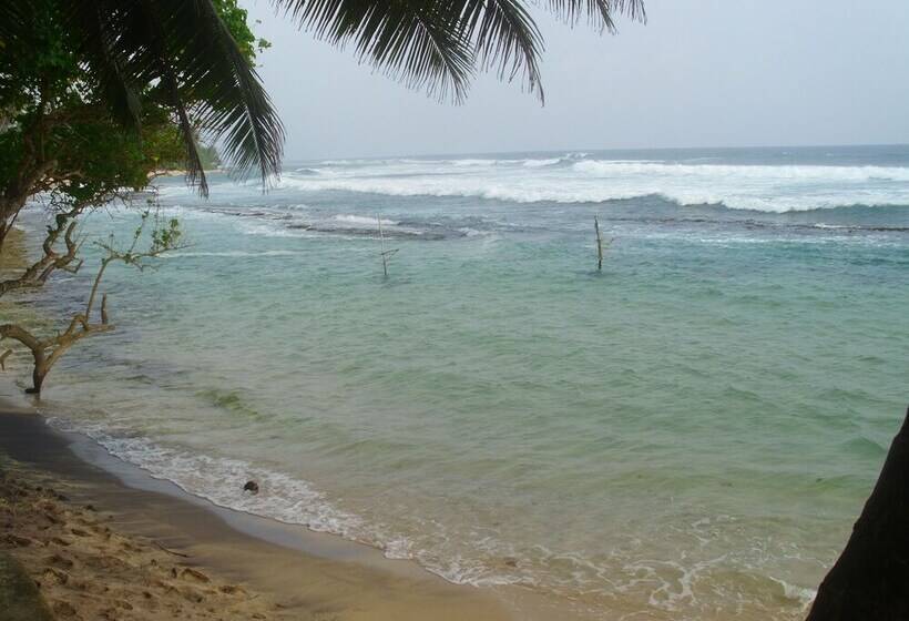 Bed and Breakfast Avendra Villa