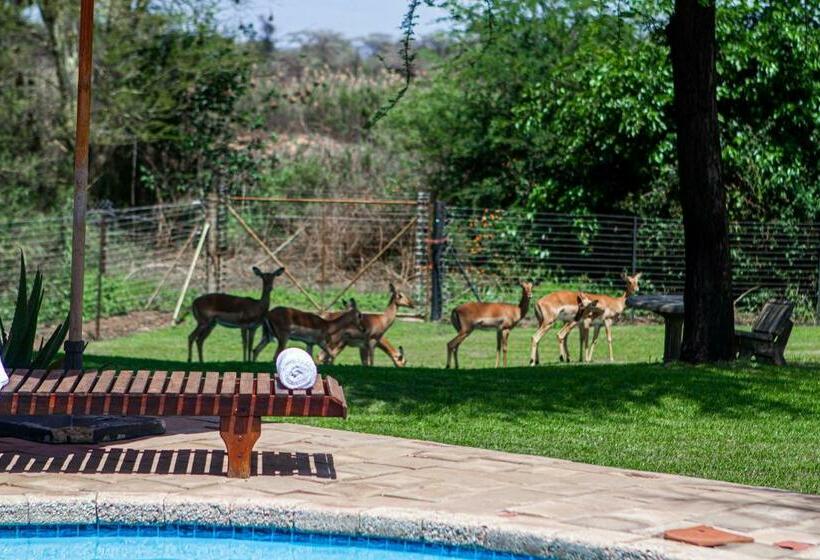 בית מלון כפרי Machauka Lodge