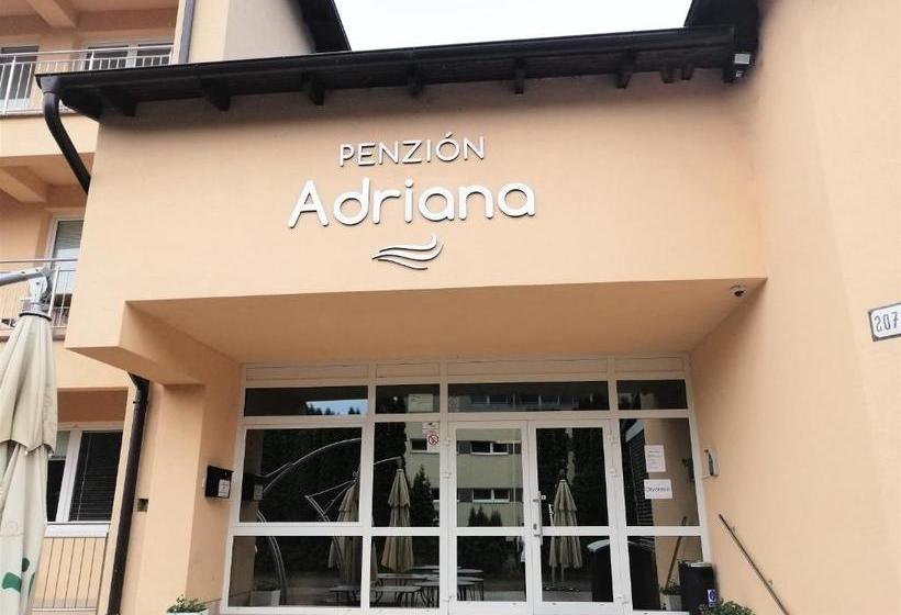 膳宿费 Penzion Adriana