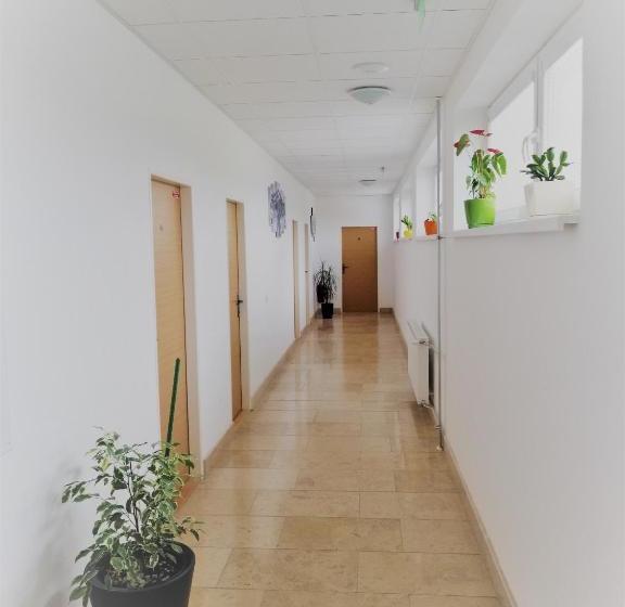 膳宿费 Penzion Adriana