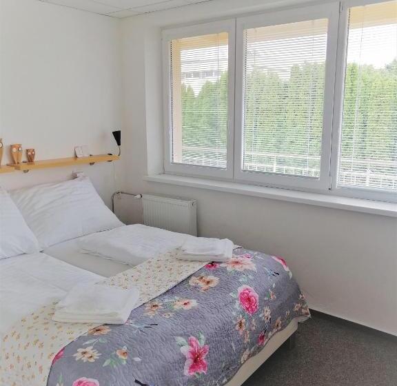 膳宿费 Penzion Adriana