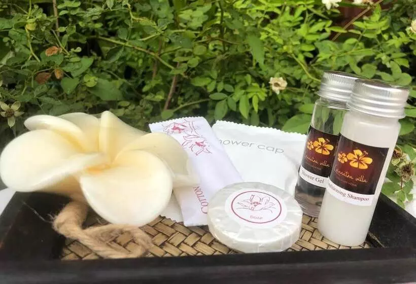 هاستل Krinnatra Villa