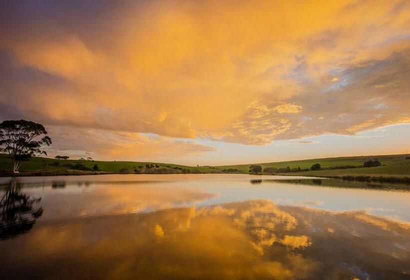 Отель Appelsbosch Guest Farm