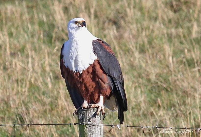 Отель Appelsbosch Guest Farm
