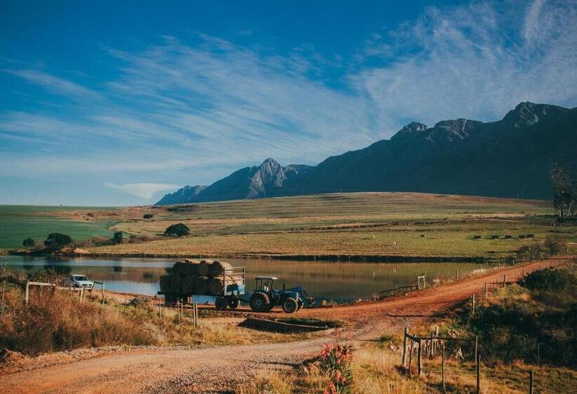 Отель Appelsbosch Guest Farm