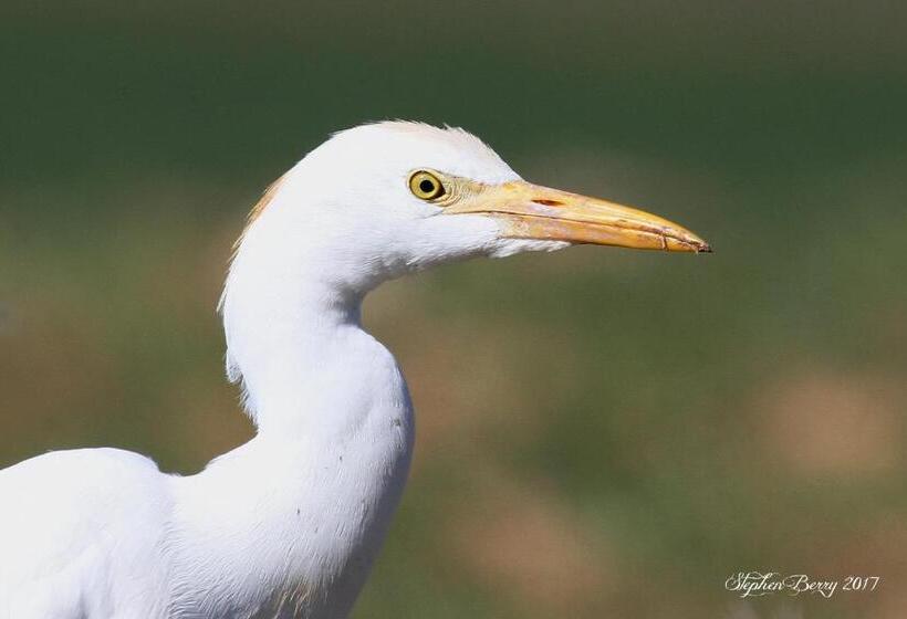 Отель Appelsbosch Guest Farm
