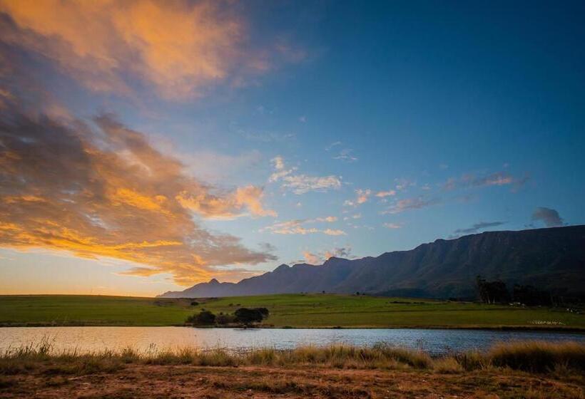 Отель Appelsbosch Guest Farm