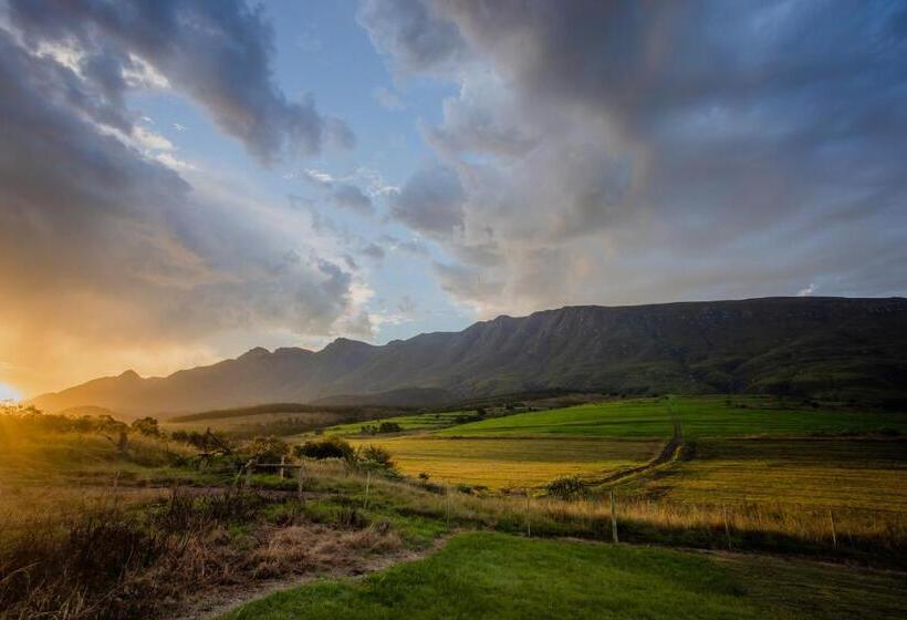 Отель Appelsbosch Guest Farm