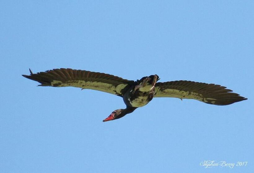Отель Appelsbosch Guest Farm