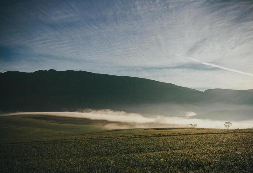 Отель Appelsbosch Guest Farm