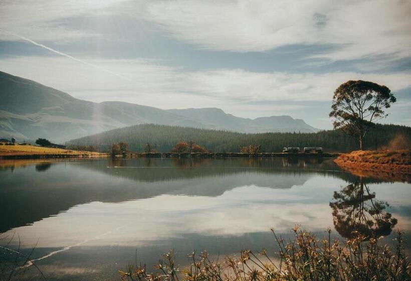 Отель Appelsbosch Guest Farm