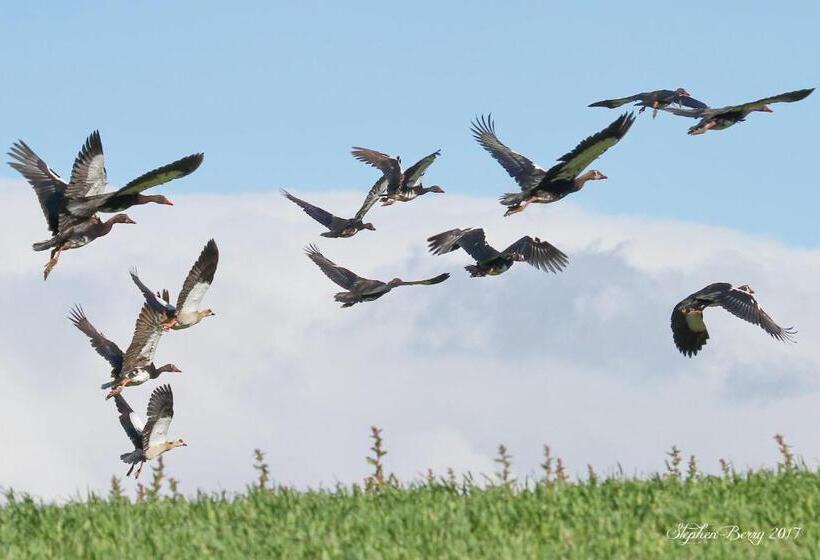 Отель Appelsbosch Guest Farm