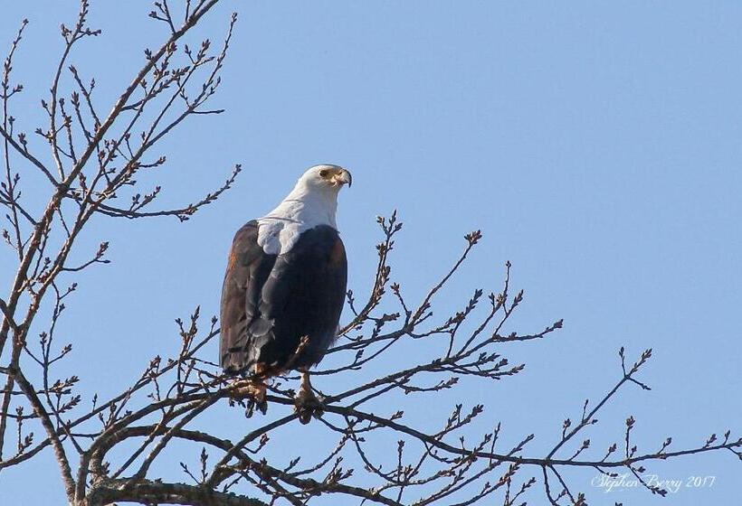 Отель Appelsbosch Guest Farm