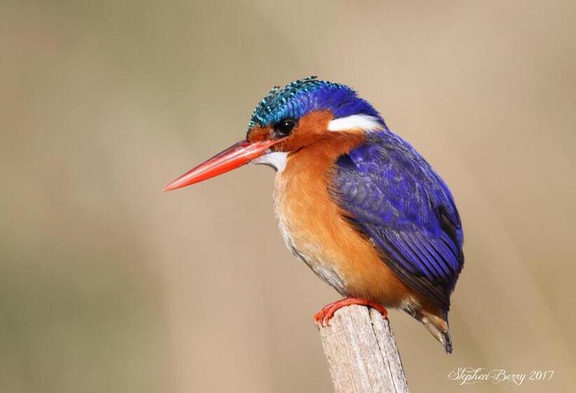 Отель Appelsbosch Guest Farm