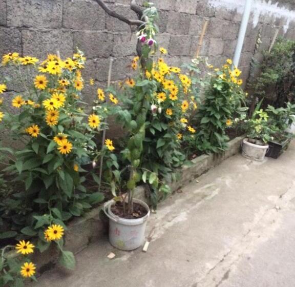 پانسیون Batumi Guesthouse 28a