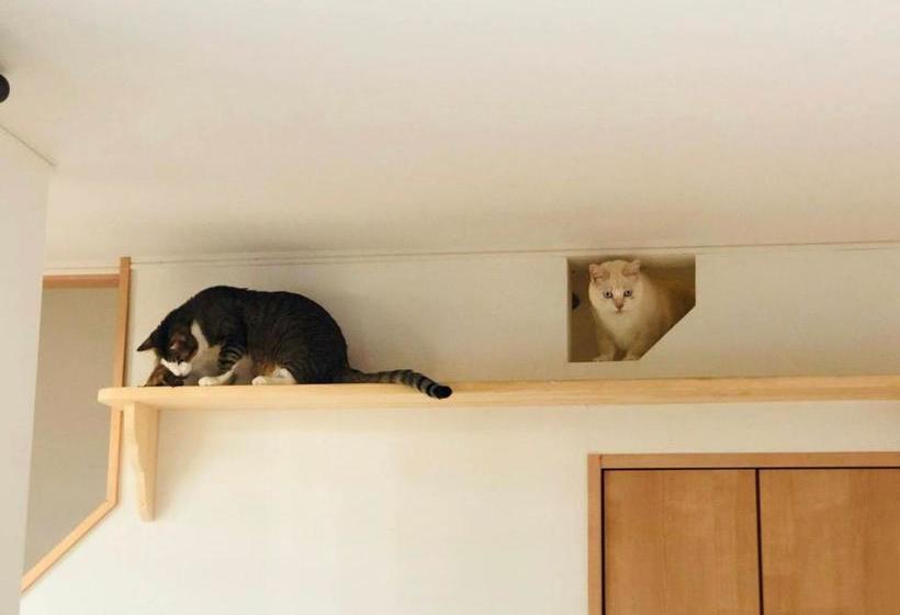 פנסיון Guesthouse Gifu Suai