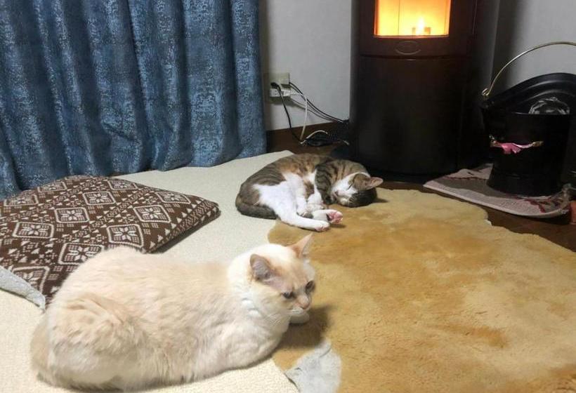 פנסיון Guesthouse Gifu Suai