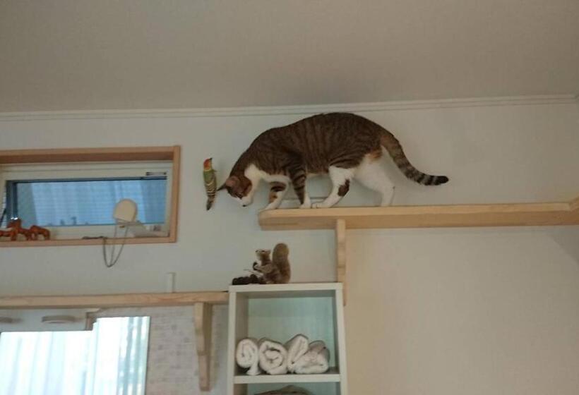 פנסיון Guesthouse Gifu Suai