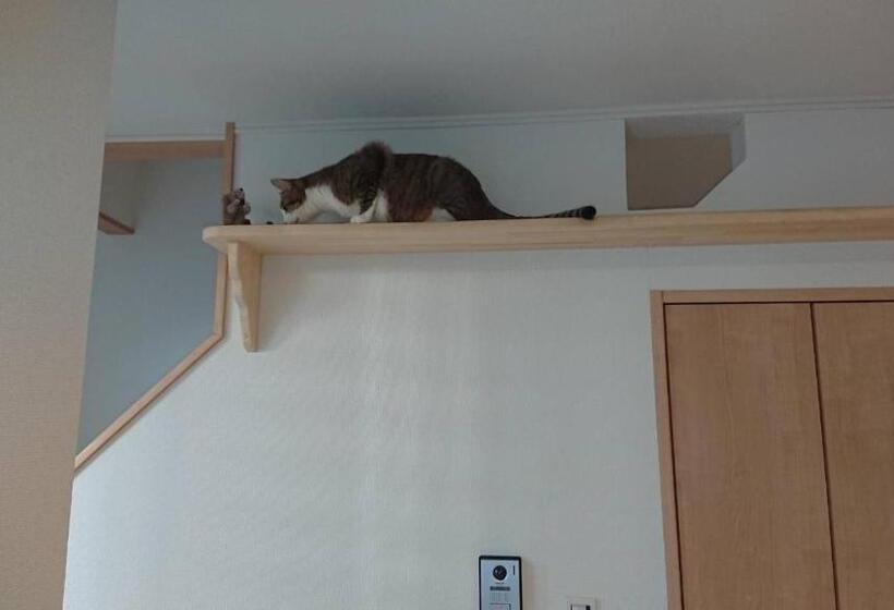 פנסיון Guesthouse Gifu Suai