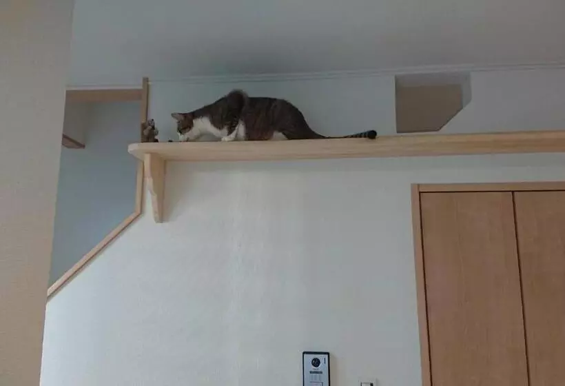 Majatalo Guesthouse Gifu Suai