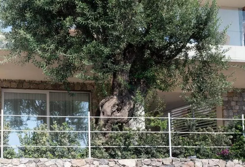 Iancu Charme Apartments