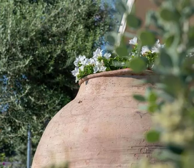 Iancu Charme Apartments