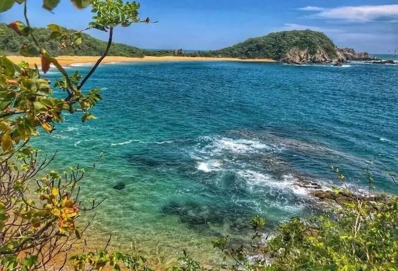 Punta Gaviota