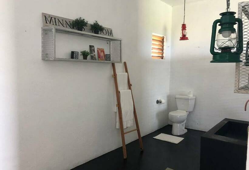 هتل Lashings Boutique