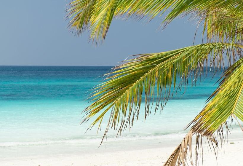 Hotel Tikitam Palms Boutique