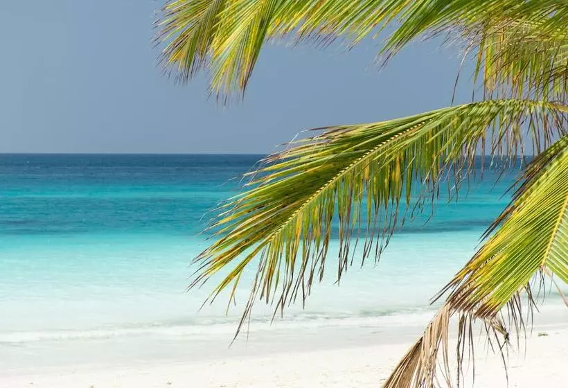 Hotelli Tikitam Palms Boutique