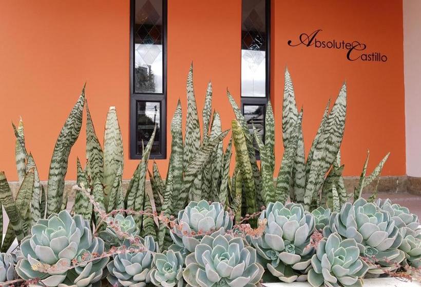 بنسيون Absolute Castillo
