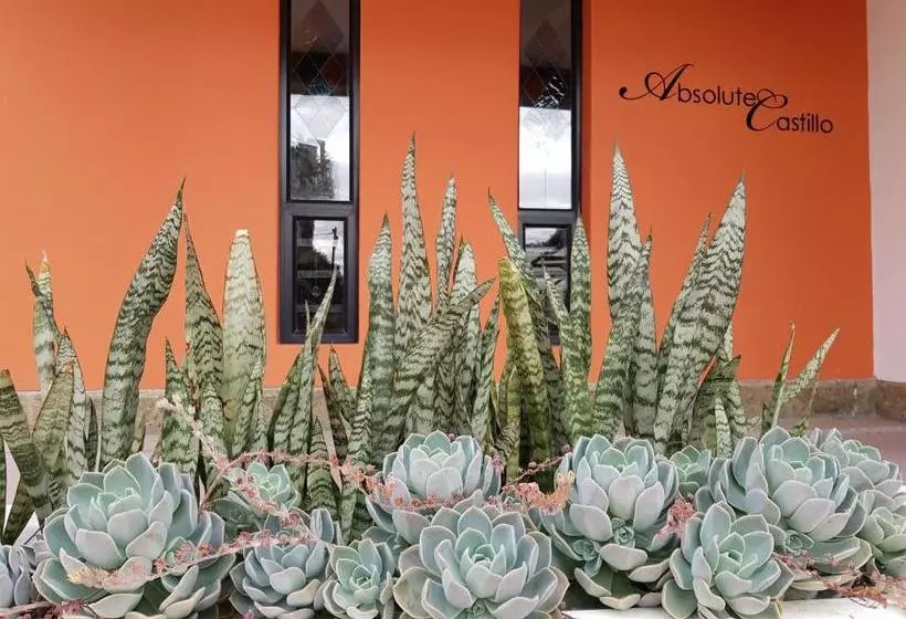 Majatalo Absolute Castillo