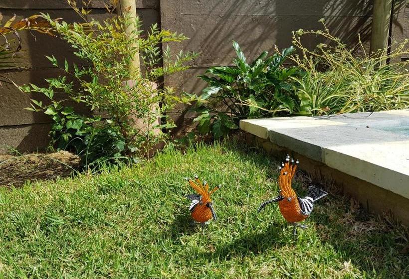 بنسيون Absolute Castillo