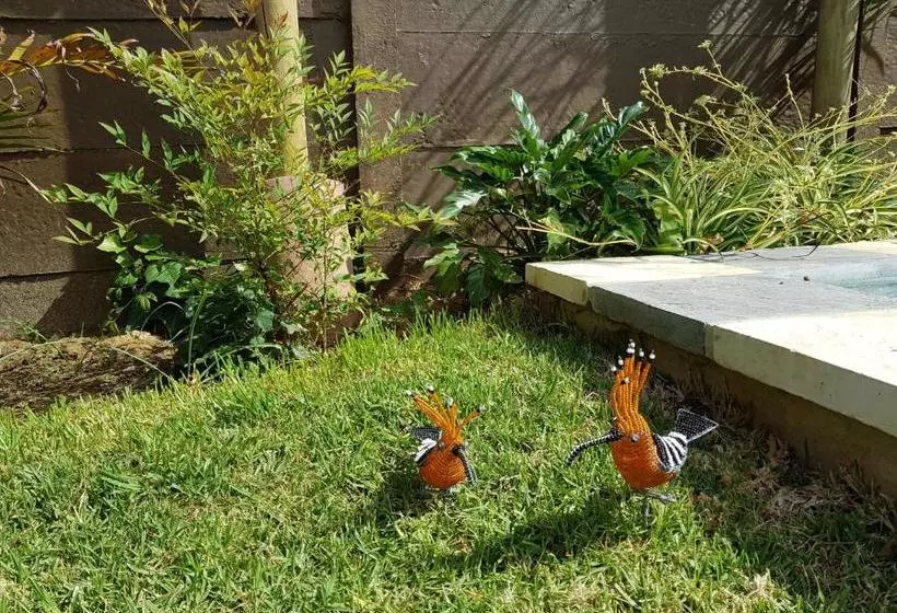 Majatalo Absolute Castillo