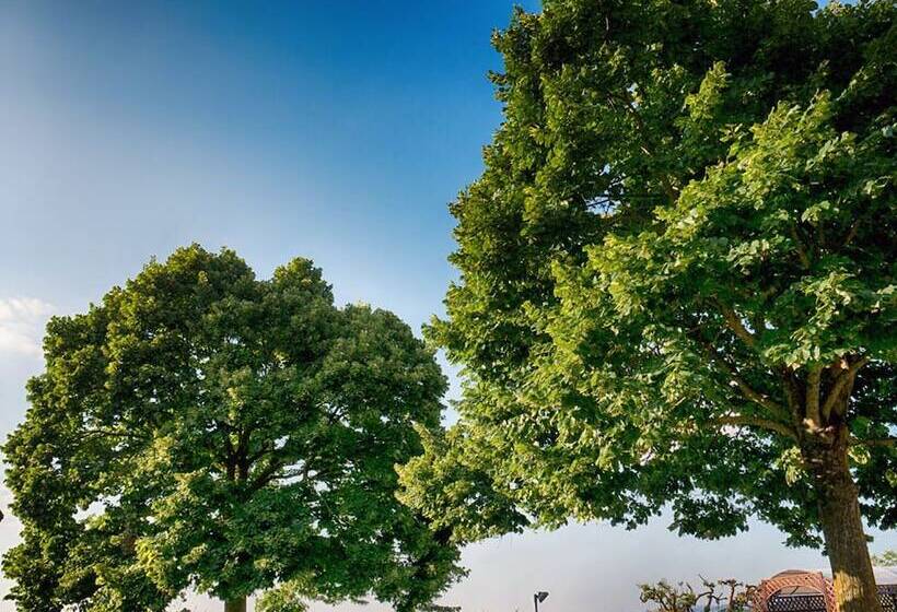 Villa Dei Tigli Resort & Spa