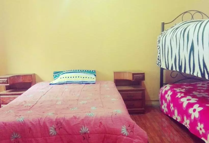 هاستل La Posada Del Misti