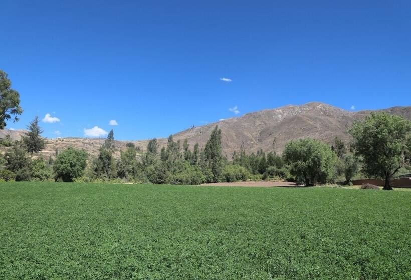 فندق صغير Schatzi Lodge