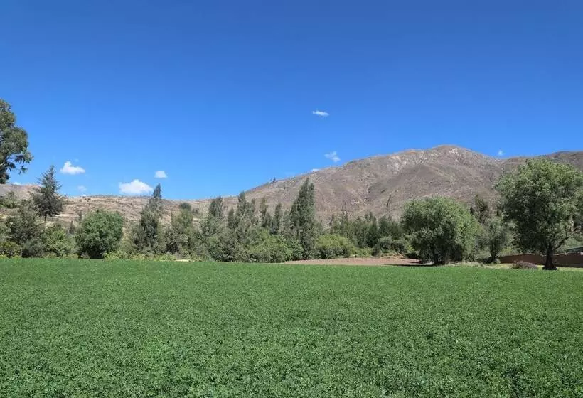 هاستل Schatzi Lodge