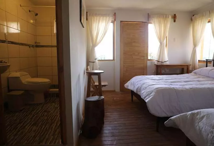 هاستل Schatzi Lodge