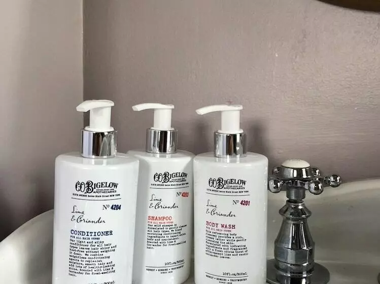 Retkeilymaja The Water Street Inn