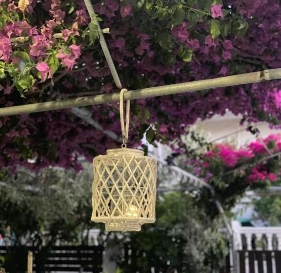 Apartments Athina Orikum