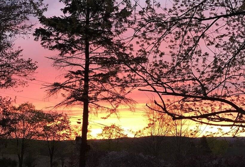 Carriage Stop Bed & Breakfast