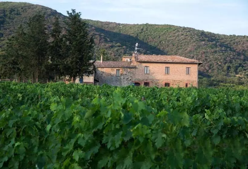 ホテル Luce Di Vino