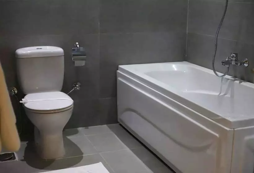 هتل Miramar Downtown Tahrir Square