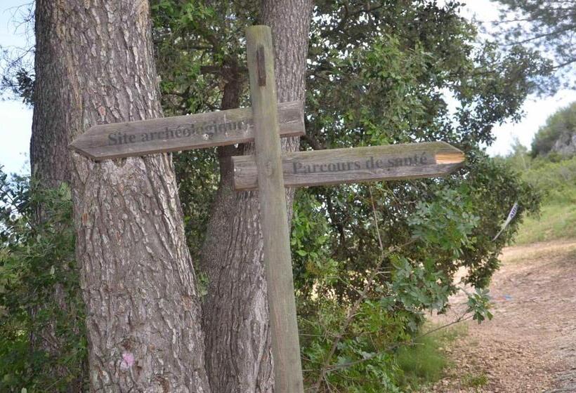 مبيت وإفطار Domaine Shambala   Maison D Hôte En Provence   Piscine Chauffée