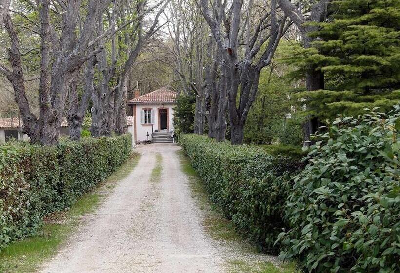 مبيت وإفطار Domaine Shambala   Maison D Hôte En Provence   Piscine Chauffée