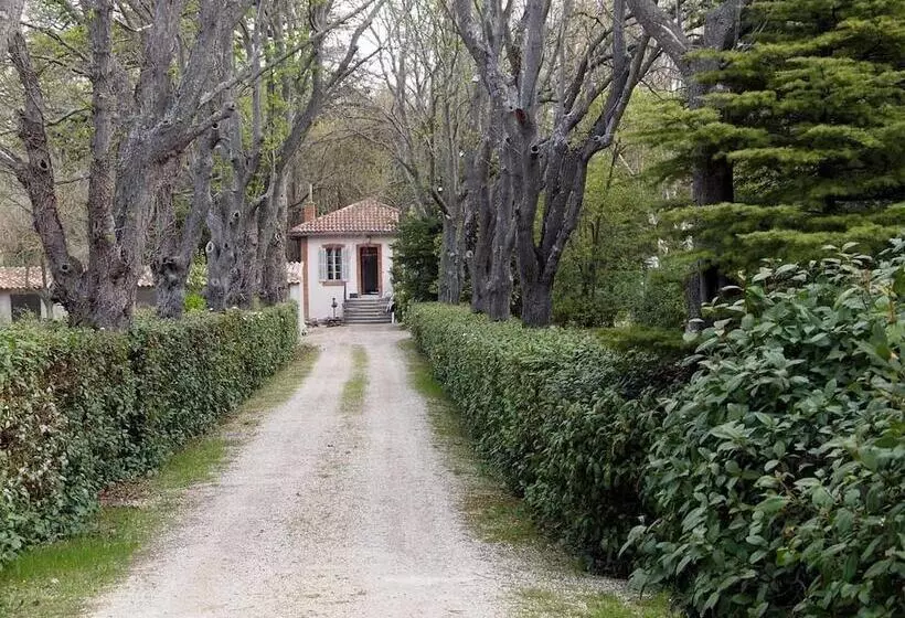 Aamiaismajoitus (B&B) Domaine Shambala   Maison D Hôte En Provence   Piscine Chauffée