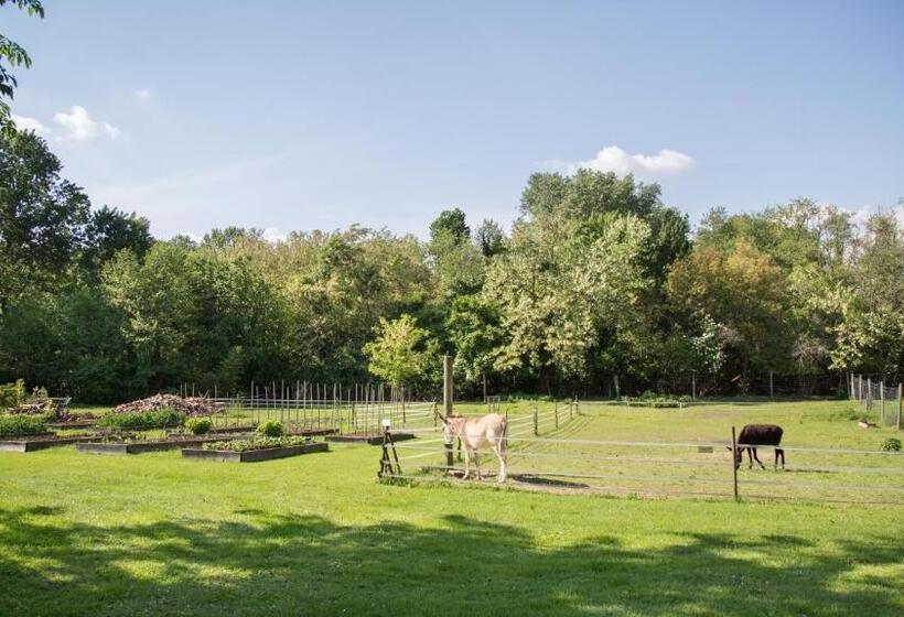 בית מלון כפרי La Collina Delle Mignole