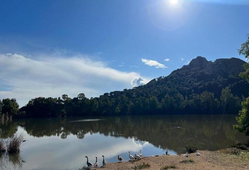 膳宿费 Antico Casale Del Poggio