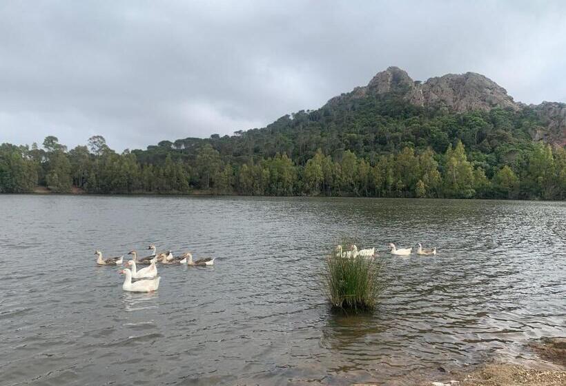 膳宿费 Antico Casale Del Poggio